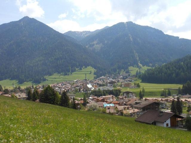 Residence Dolomia ポッツァ・ディ・ファッサ エクステリア 写真
